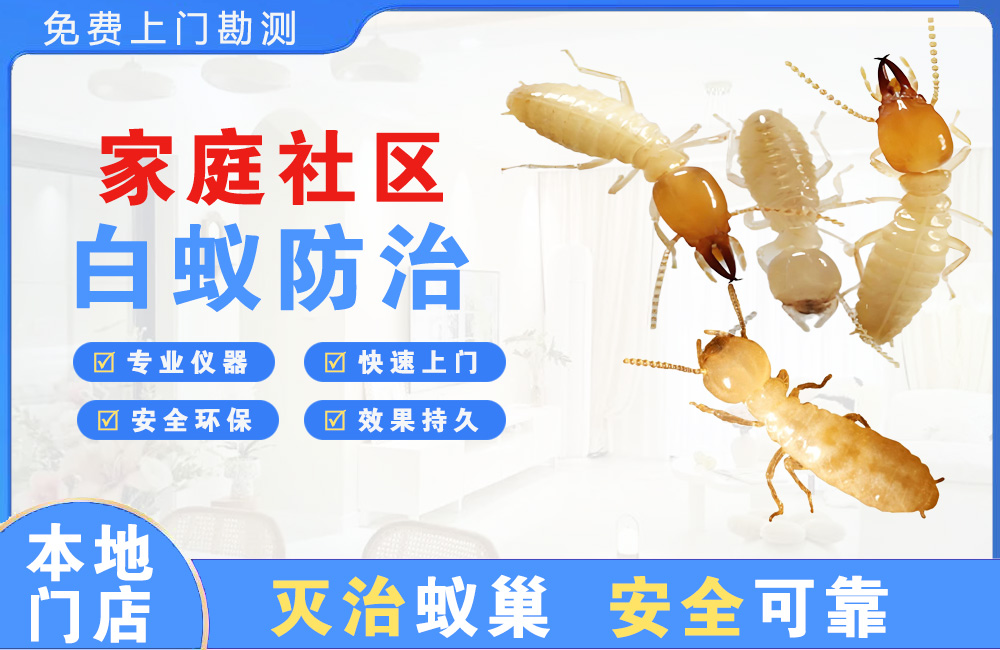 北海家庭社区白蚁防治