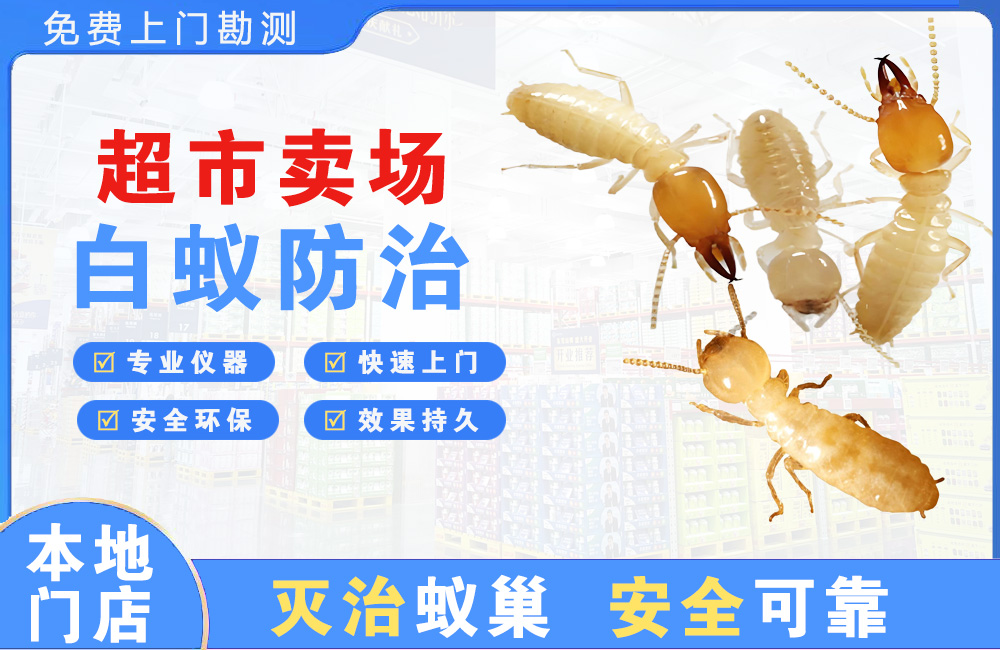 北海超市卖场白蚁防治