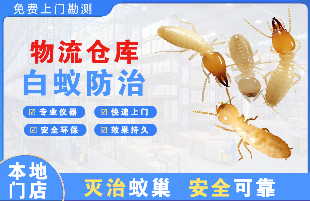 北海物流仓库白蚁防治