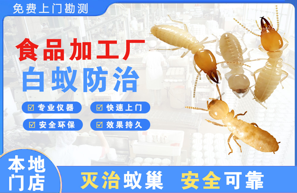 北海食品加工厂白蚁防治