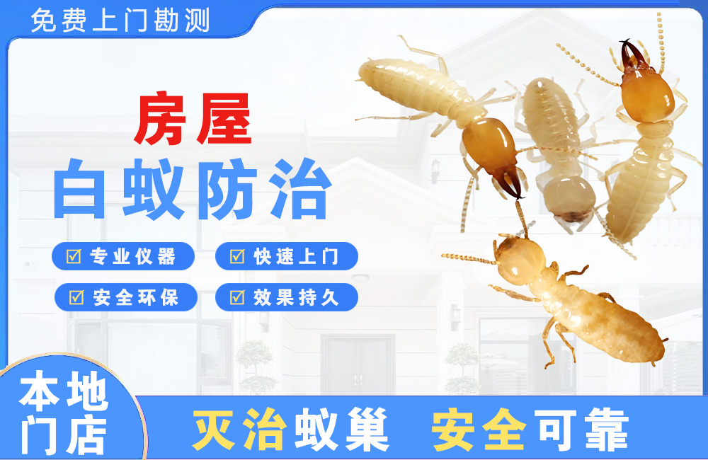 北海房屋白蚁防治