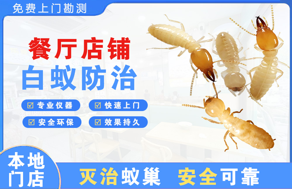 北海餐厅店铺白蚁防治